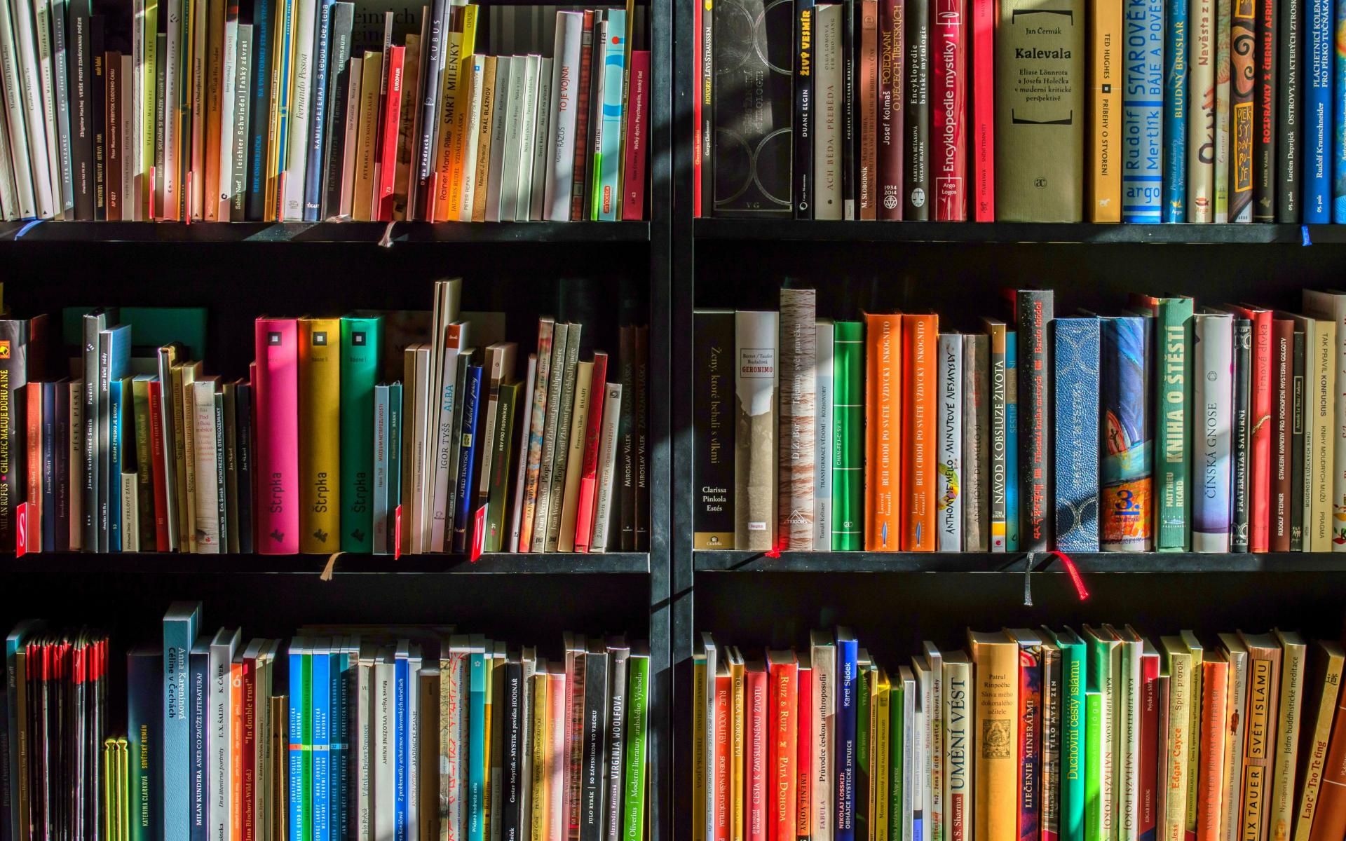 Bücherregal
